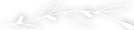 solox